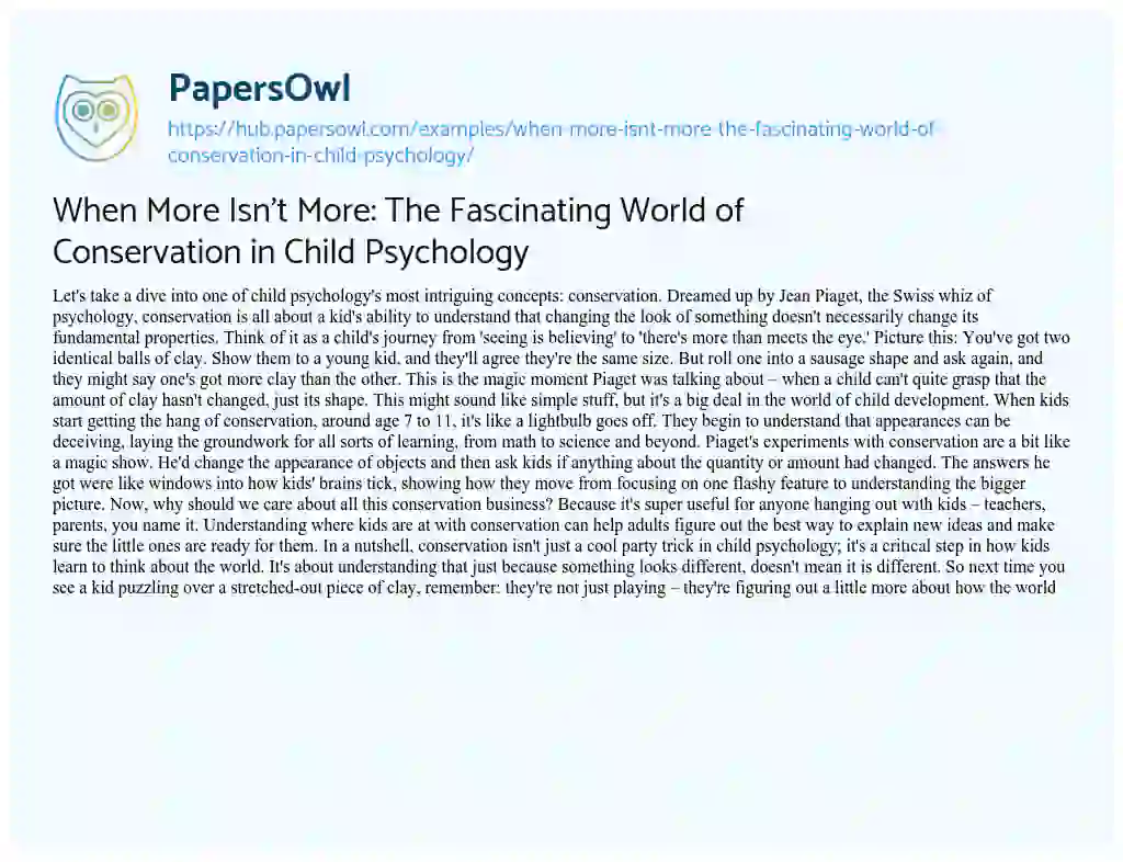 Essay on When More Isn’t More: The Fascinating World of Conservation in Child Psychology