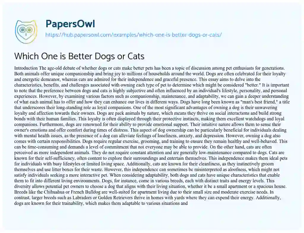 Essay on Which One is Better Dogs or Cats