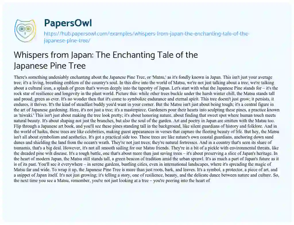 Essay on Whispers from Japan: The Enchanting Tale of the Japanese Pine Tree