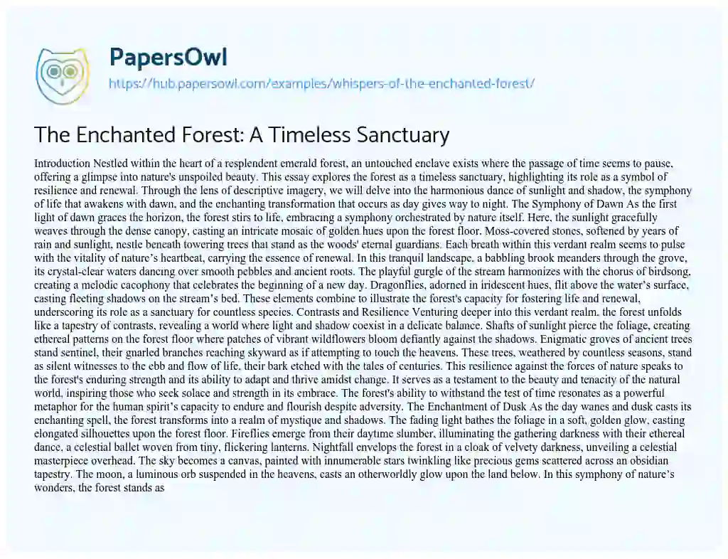 Essay on The Enchanted Forest: A Timeless Sanctuary
