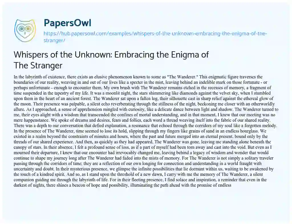 Essay on Whispers of the Unknown: Embracing the Enigma of The Stranger