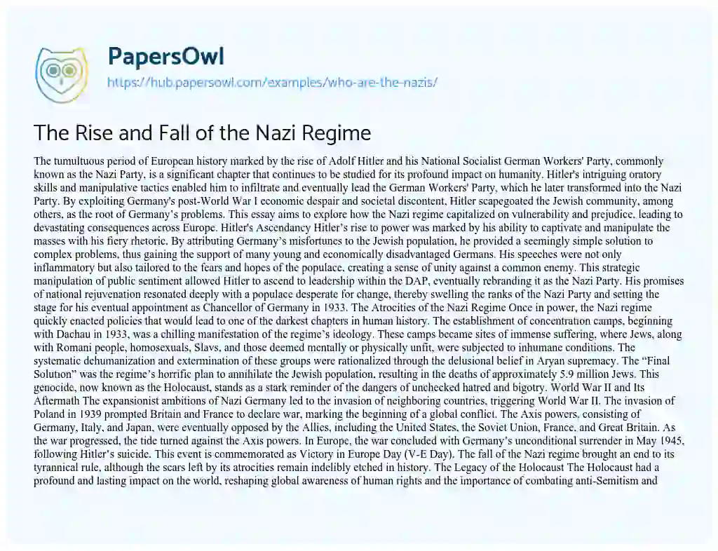 Essay on The Rise and Fall of the Nazi Regime