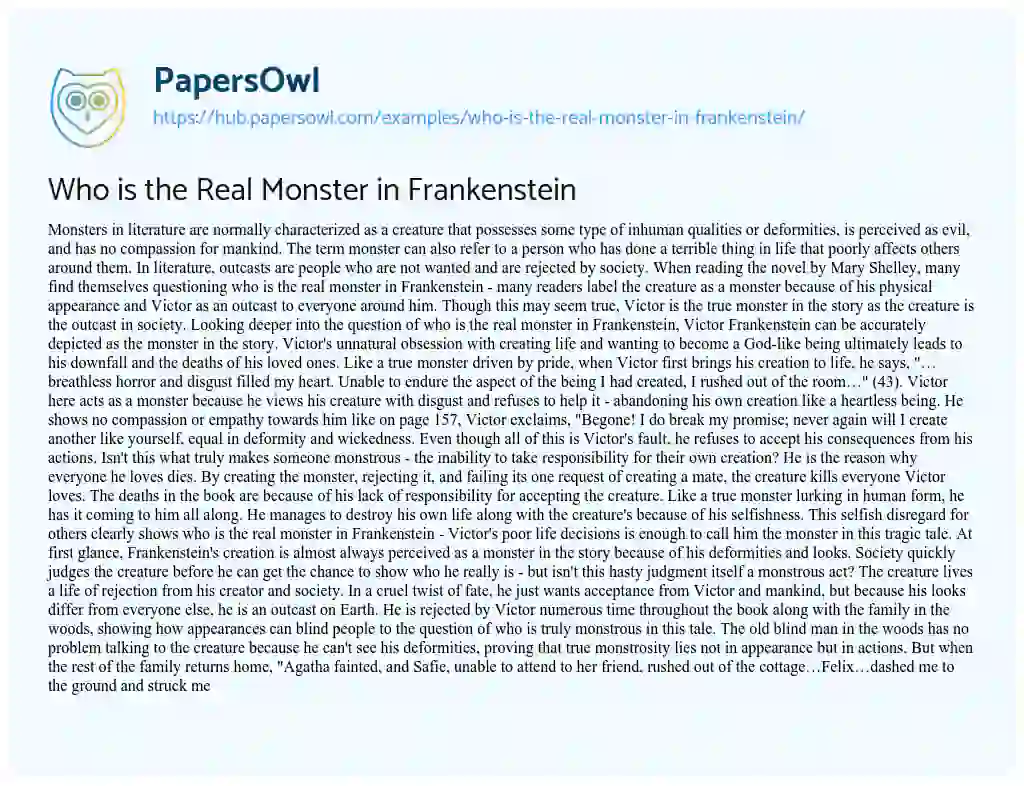 Essay on Who is the Real Monster in Frankenstein