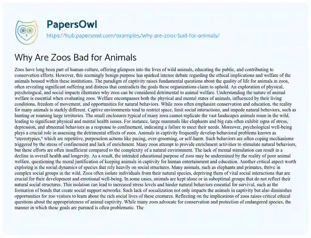 Essay on Why Are Zoos Bad for Animals