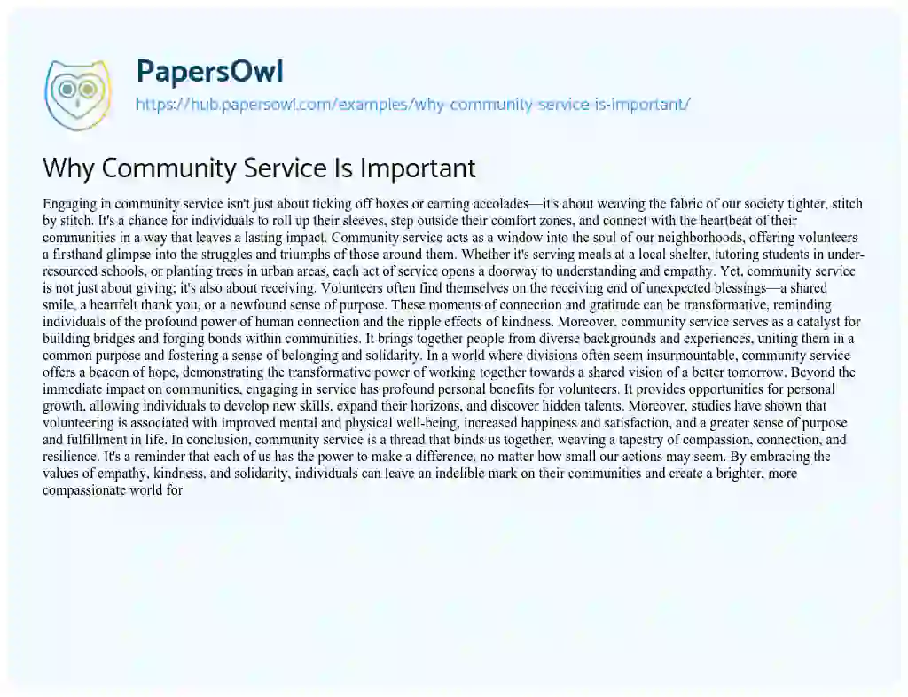Essay on Why Community Service Is Important