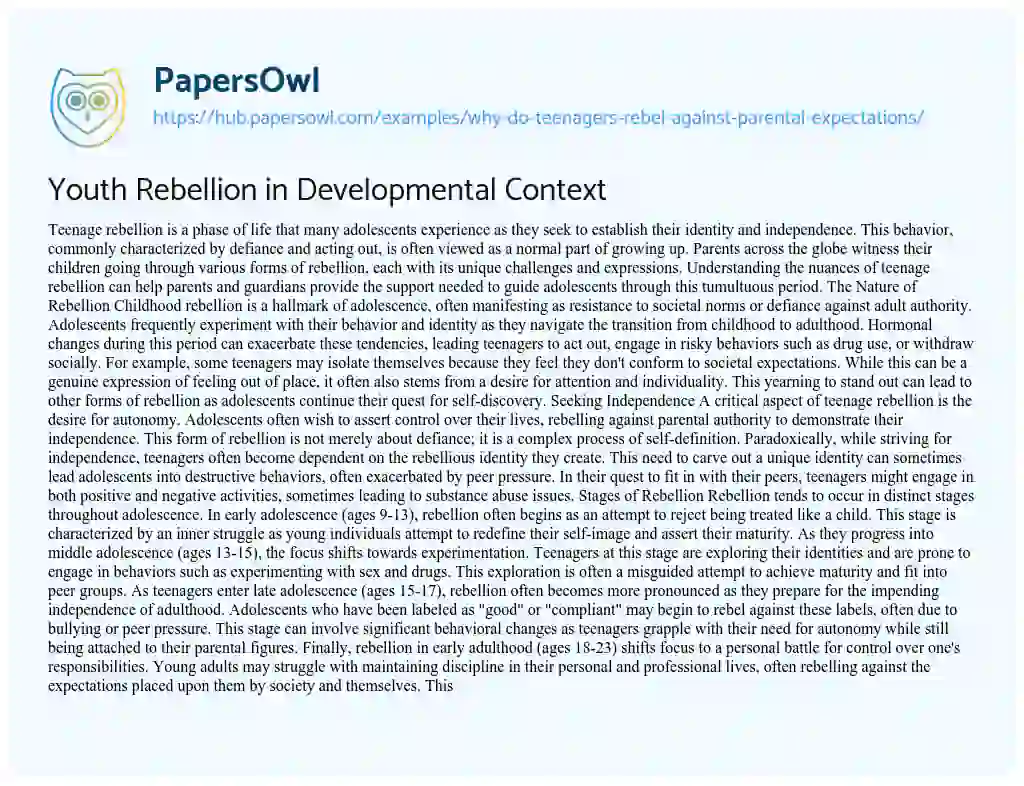 Essay on Youth Rebellion in Developmental Context