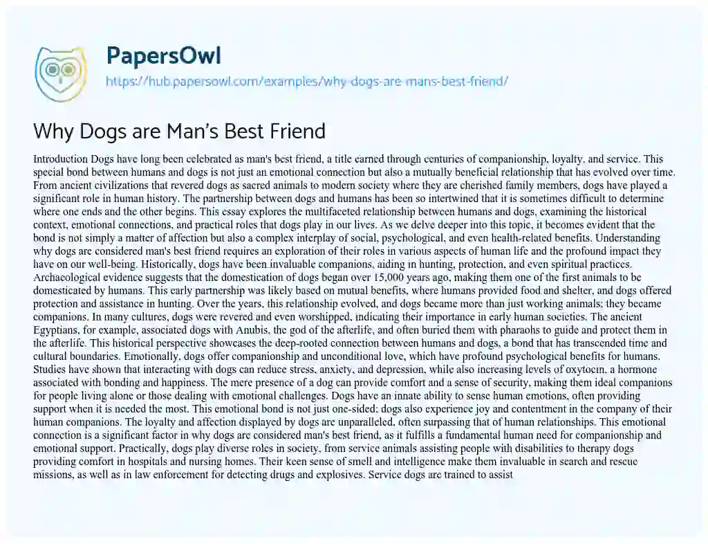 Essay on Why Dogs are Man’s Best Friend