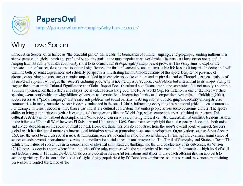 Essay on Why I Love Soccer