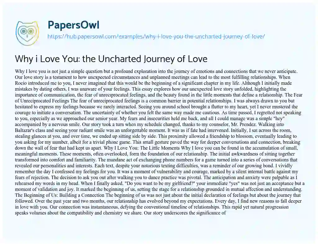 Essay on Why i Love You: the Uncharted Journey of Love