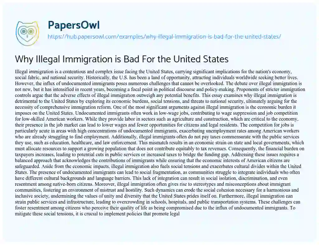 Essay on Why Illegal Immigration is Bad For the United States