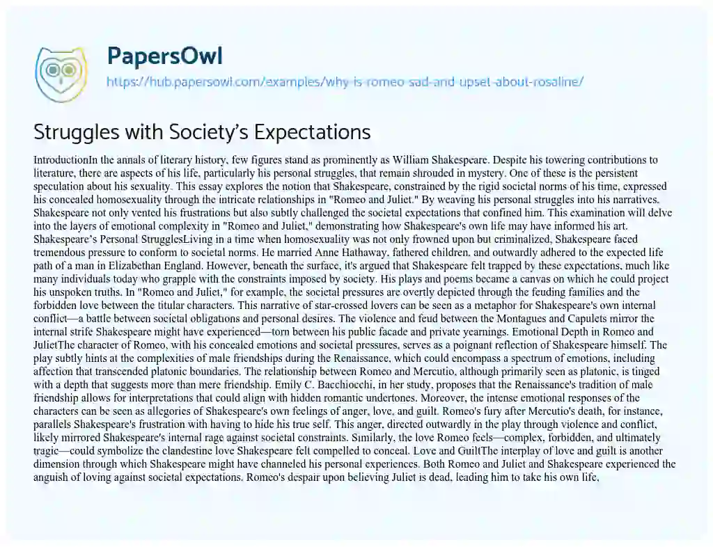 Essay on Struggles with Society’s Expectations