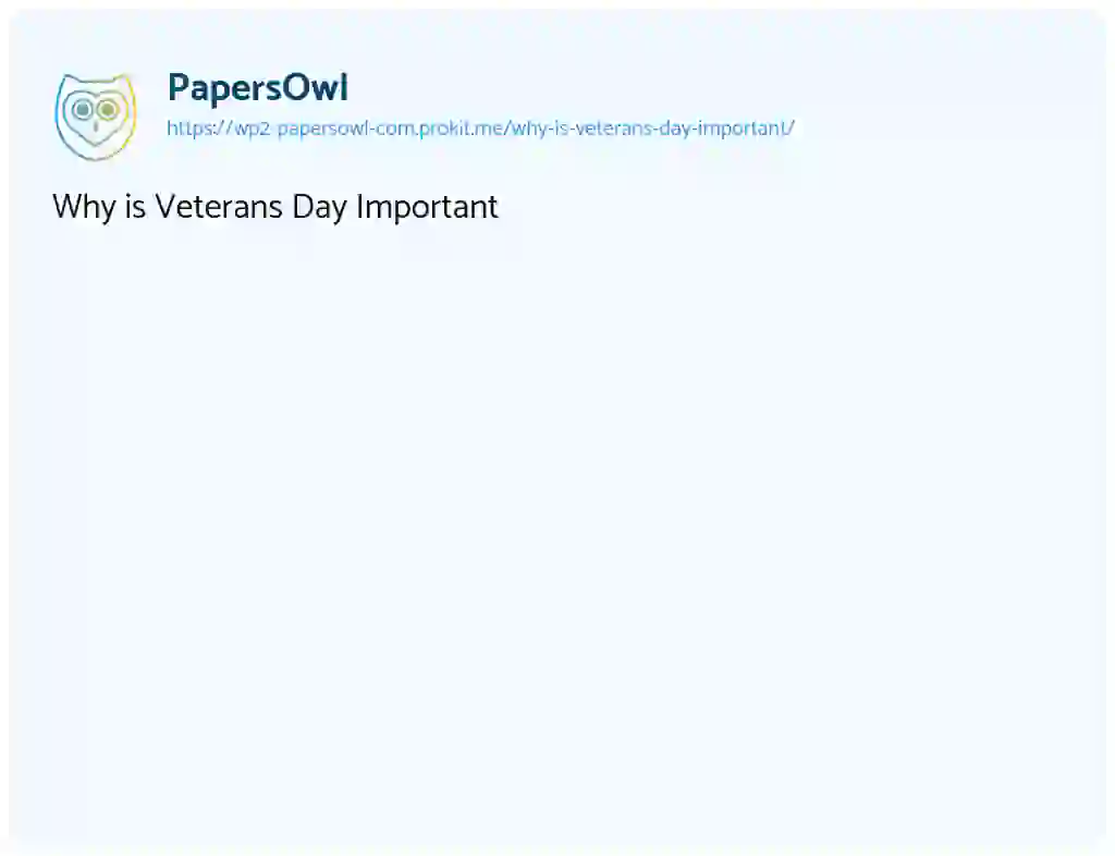 Essay on Why is Veterans Day Important