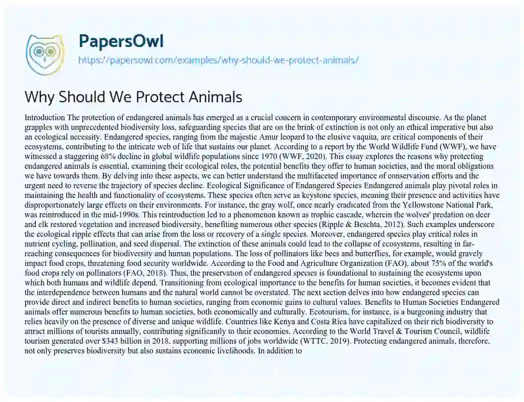 Essay on Why Should We Protect Animals