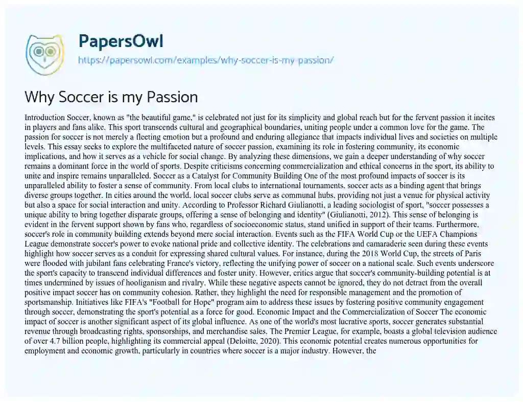 Essay on Why Soccer is my Passion