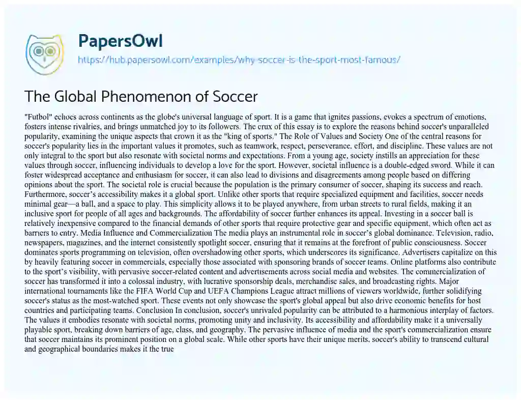 Essay on The Global Phenomenon of Soccer