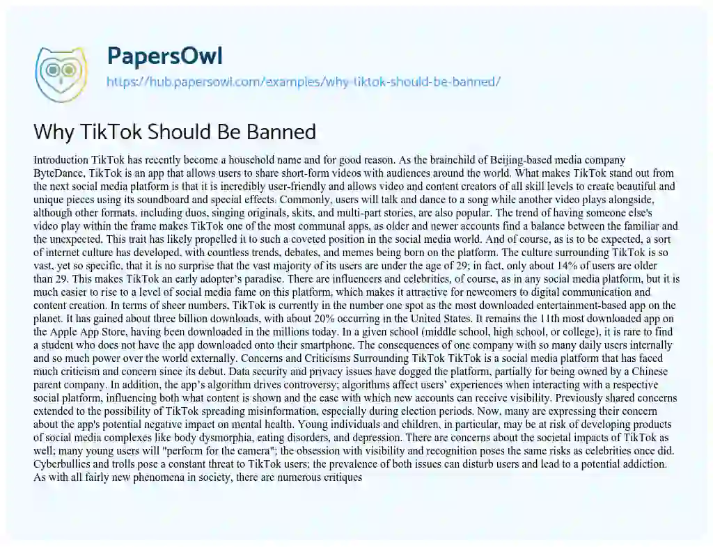Essay on Why TikTok Should Be Banned