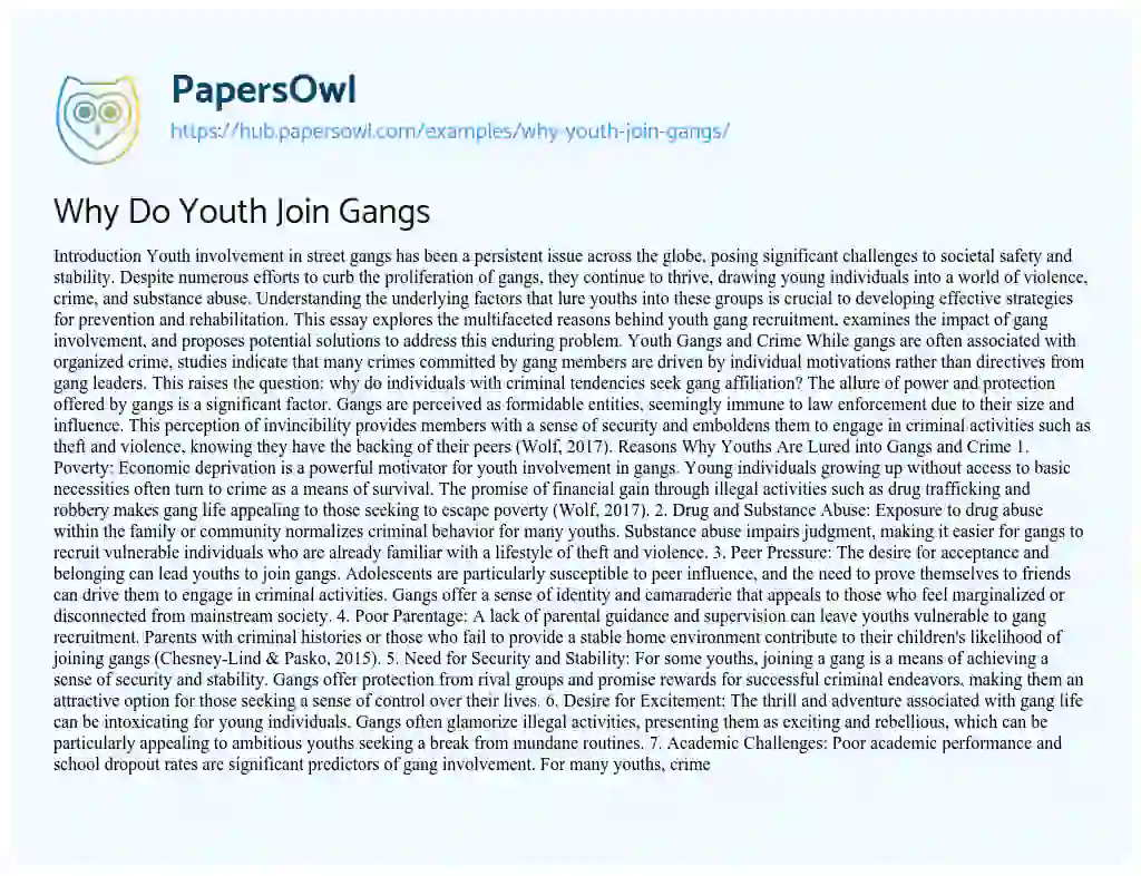 Essay on Why Do Youth Join Gangs