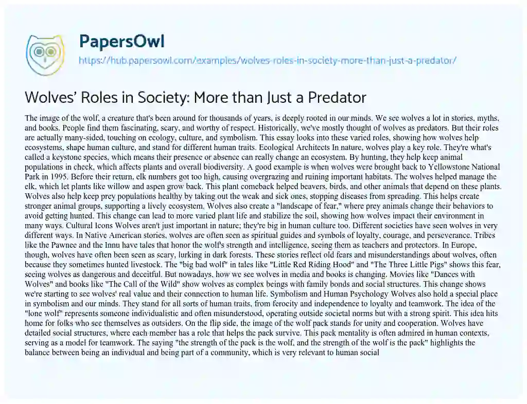 Essay on Wolves’ Roles in Society: More than Just a Predator