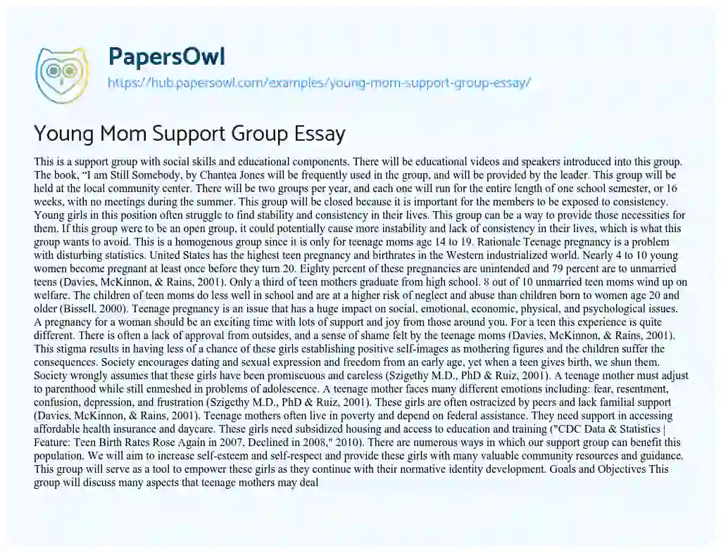 Essay on Young Mom Support Group Essay