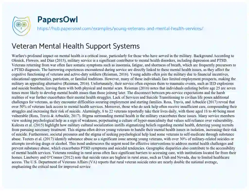 Essay on Veteran Mental Health Support Systems