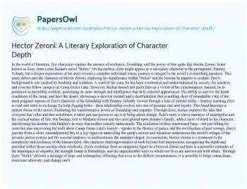 Hector Zeroni: A Literary Exploration of Character Depth - Free Essay ...