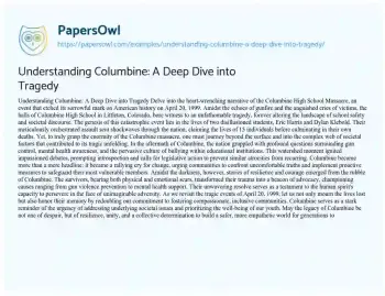 Understanding Columbine: A Deep Dive into Tragedy - Free Essay Example